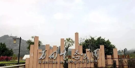 彩色透水混凝土----增城万田生态公园案例