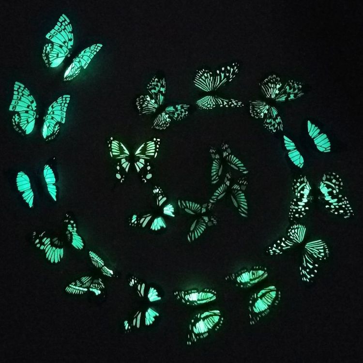 彩色透水胶粘石混夜光石蝴蝶花案例