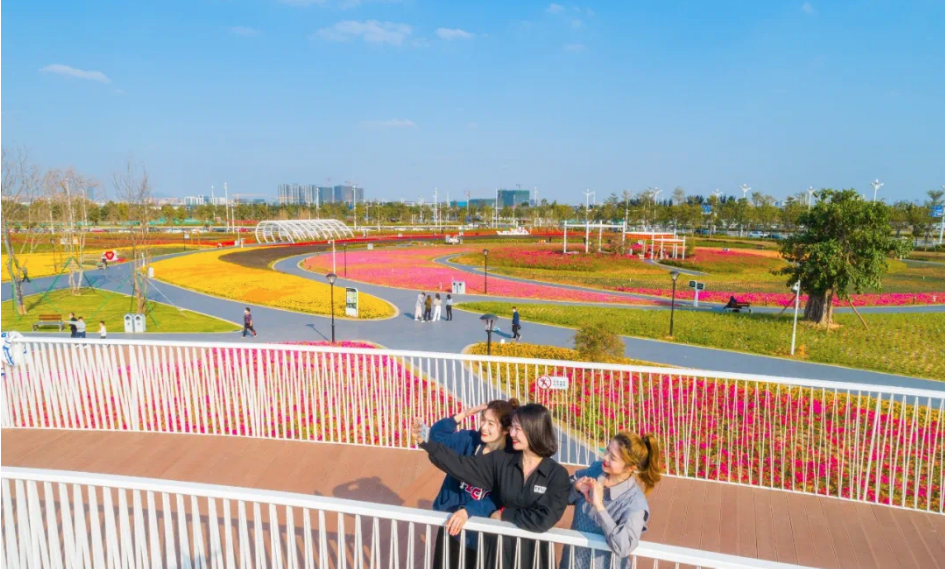 彩色透水混凝土----东莞市滨海湾新区出游“打卡”点